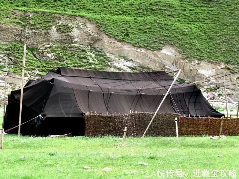 老年|为什么甘南被称为“九色甘南”?九种颜色分别是什么?