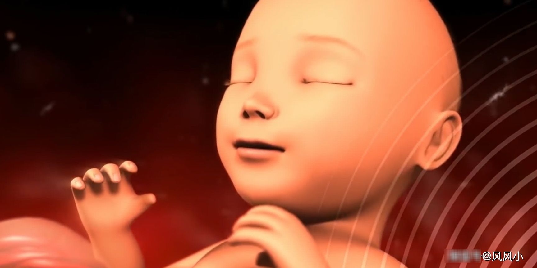 原来孕期肚子一直在跳，可能是胎儿在“忙”它，和胎动无关