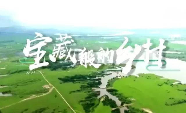 王一博|没等来《陈情令》团综，王一博就迎来新综？MC阵容也太盛大了吧