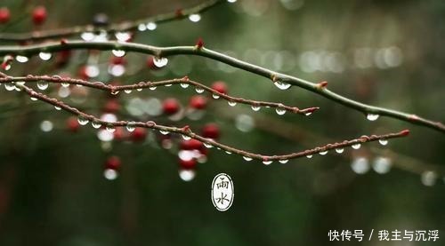 两种天然养花水,碰上就别错过,换着给花浇水,新芽呼呼冒!