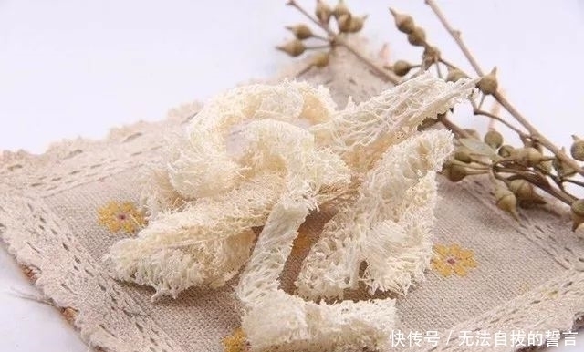 丝瓜络|花盆里加点这个,10年不用换盆,花儿越开越旺!