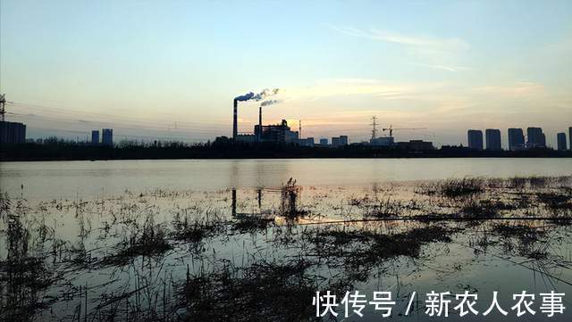 山东一河流入海口成天然黑坑,钓鱼人蜂拥而至,鱼获到底怎么样?