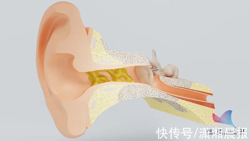 吃耳屎|吃耳屎真的会变哑巴？很多人从小被吓到大，真相令人放心