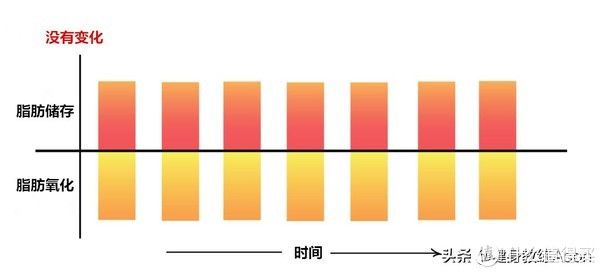 sport|有关空腹训练，你想知道的都在这了！