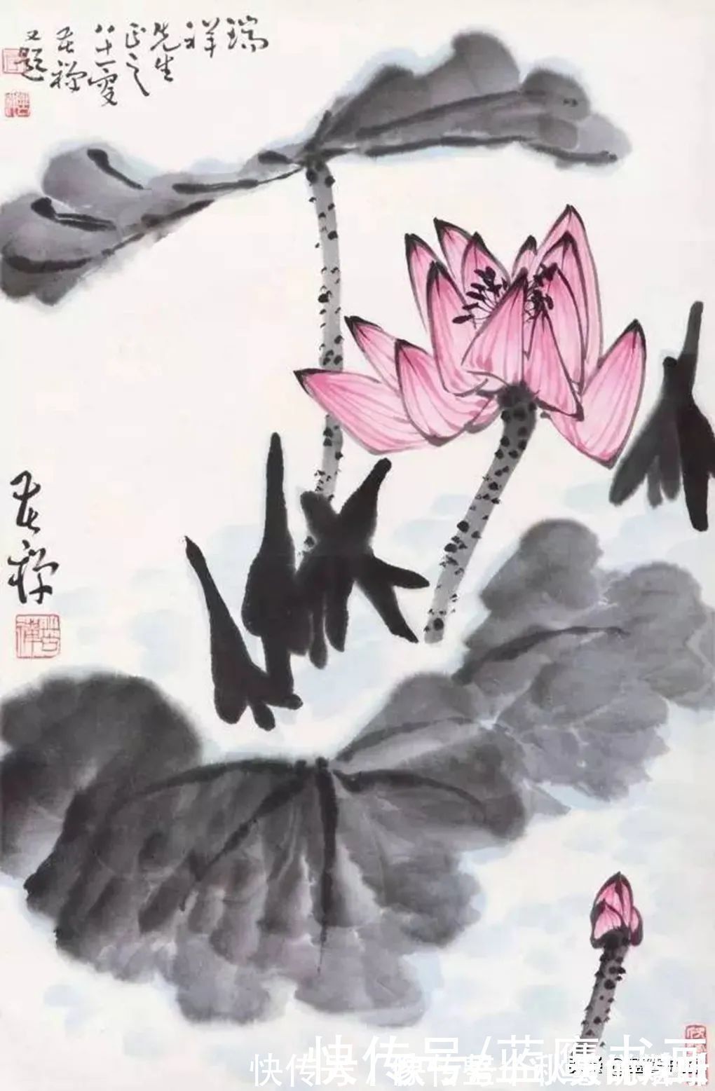 绘画|深得大师真传,李苦禅的绘画作品,让人感受到了独特的韵味