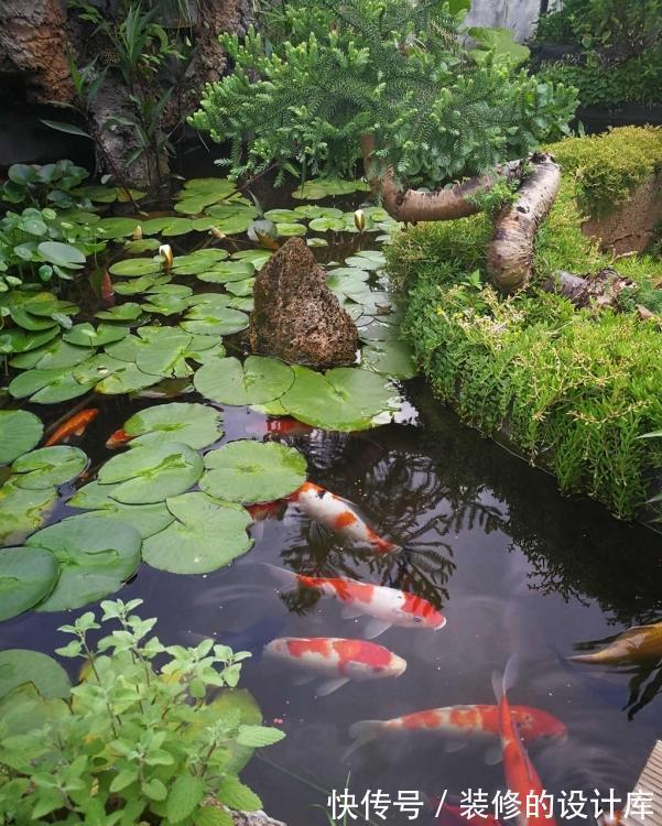 鱼池|为了露台他买下顶楼,一番大改后过上了田园生活,让人羡慕!