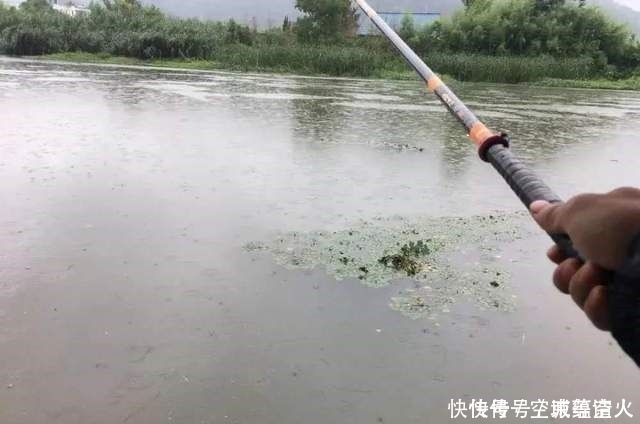 漂相|不知道用七星漂还是立漂,看完这篇就知道了