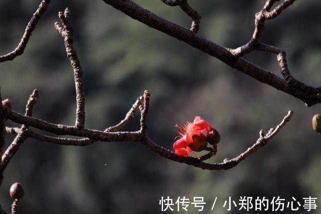 黄金万两|富贵在天, 生死由命(拼了)