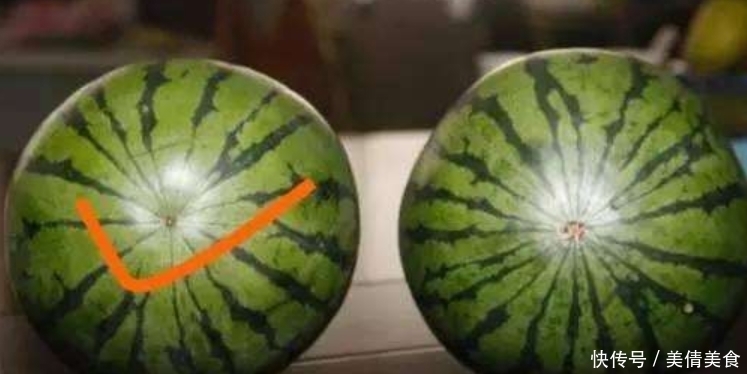  西瓜也有公母之分，母瓜好吃，老瓜农教你挑西瓜