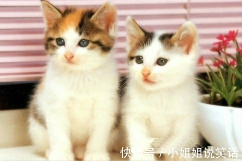 |开心一刻段子：我那手指可是指挥我老公的，当然值钱了！