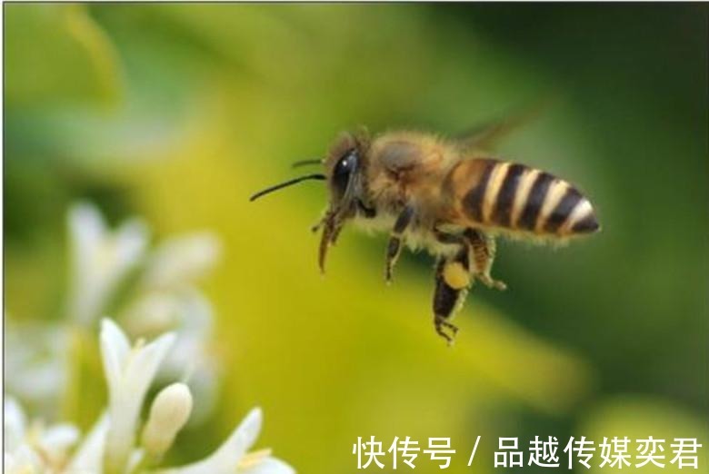 读书人|此著名诗人科举落榜十几次，一句诗经常被人挂在嘴边