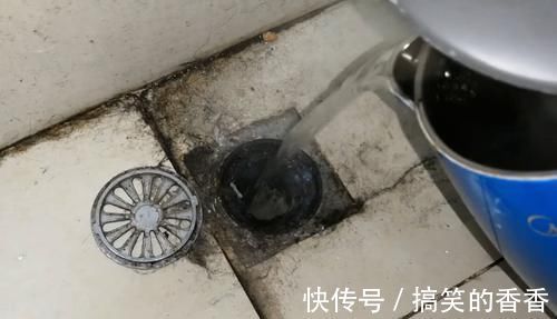 把它倒进卫生间，小飞虫立马消失不见，方法简单效果立竿见影