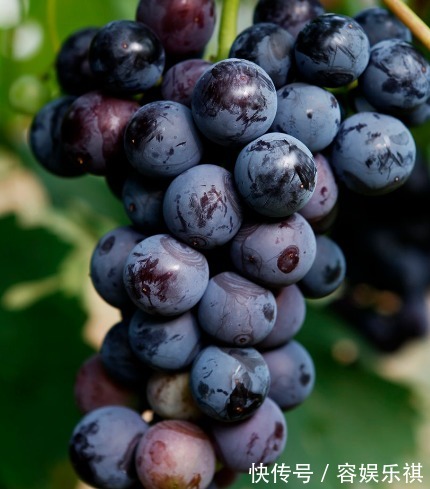 女性|女性晚上当零食吃几颗,排出子宫毒素,皱纹不见了,皮肤水嫩嫩