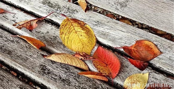 诗词|唐朝寒衣诗词六首:落叶惊风处处飞,绫梭夜夜织寒衣