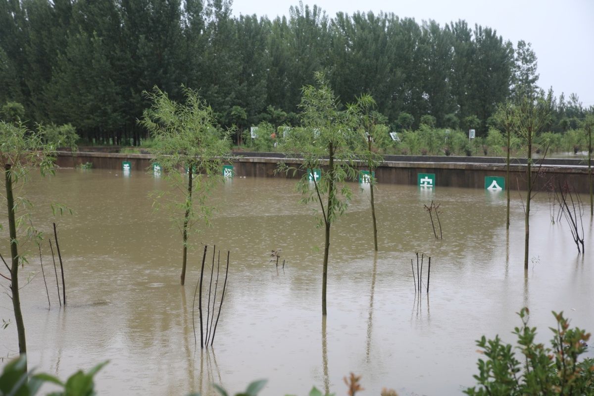 抗洪|河南尉氏：众志成城打硬仗严防死守护家园