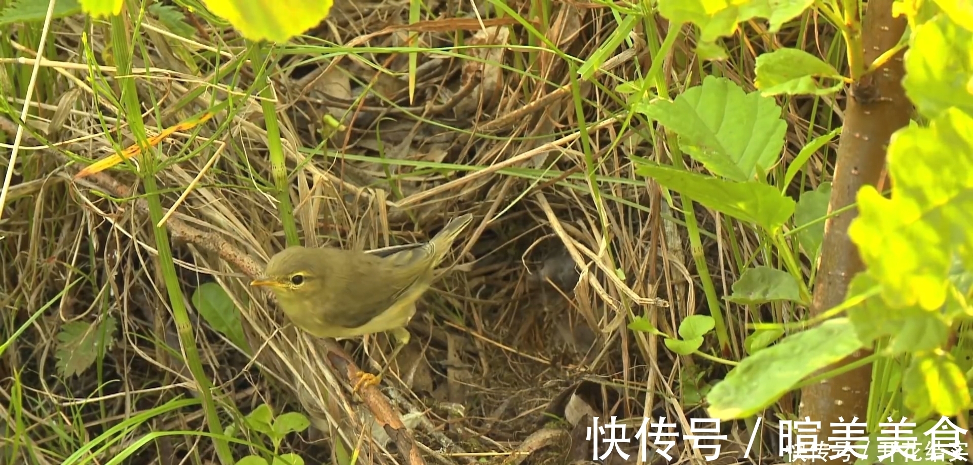 农历|这几月的人，一出生就决定了财富的命运，财福双全