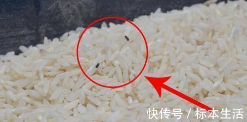 抹布又脏又油难清洗，水里加点它泡一泡，也能变得干干净净，真实用