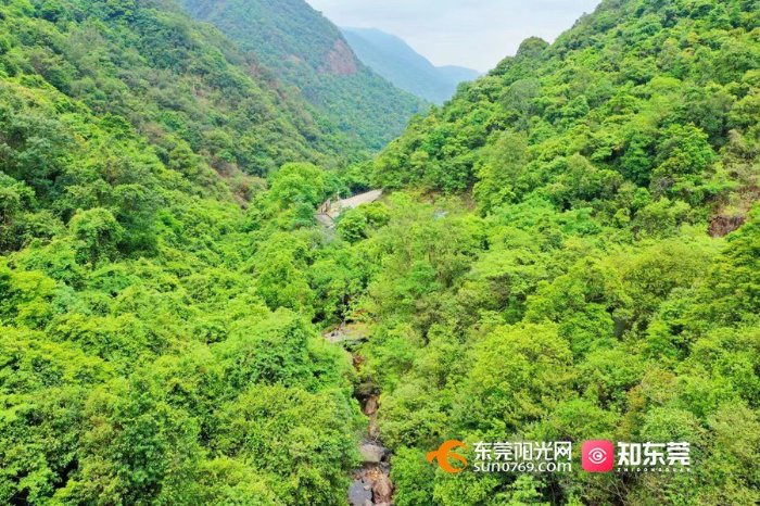 禾雀花|夏日登游银瓶山 畅享大自然“森”呼吸