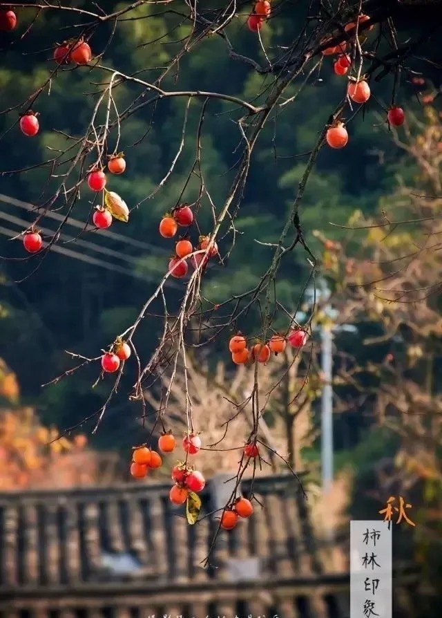 坐标|11月，必去的10个古村落，每一个都美得独特，让你不想离开