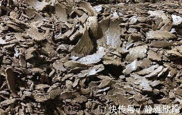 钓友们|香蕉红薯做饵料,堪称鲤鱼“克星”,饵料入水鱼儿抢着咬