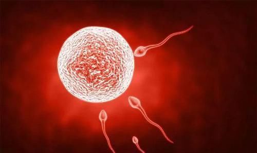 碱性|为什么有人一直生不出男孩?科学研究:主要三个原因