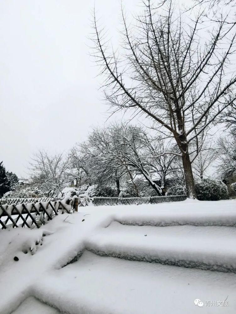 庚子年冬月，在青州古城听雪落下的声音～