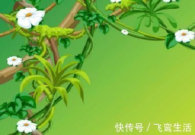 韩愈|韩愈的两首七绝，造语奇崛，寄意深远，令人赞不绝口