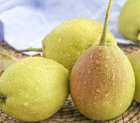 美容养颜|立秋之后,女多吃3种水果,美容养颜,滋养肌肤,皮肤更细腻