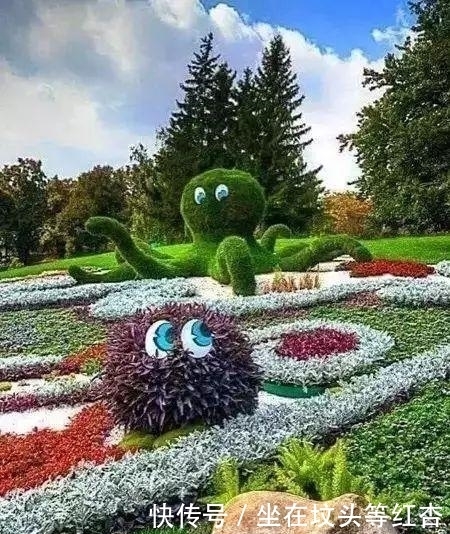 塑造|植物塑造出来的造型简直美炸了,你见过这样的植物吗?