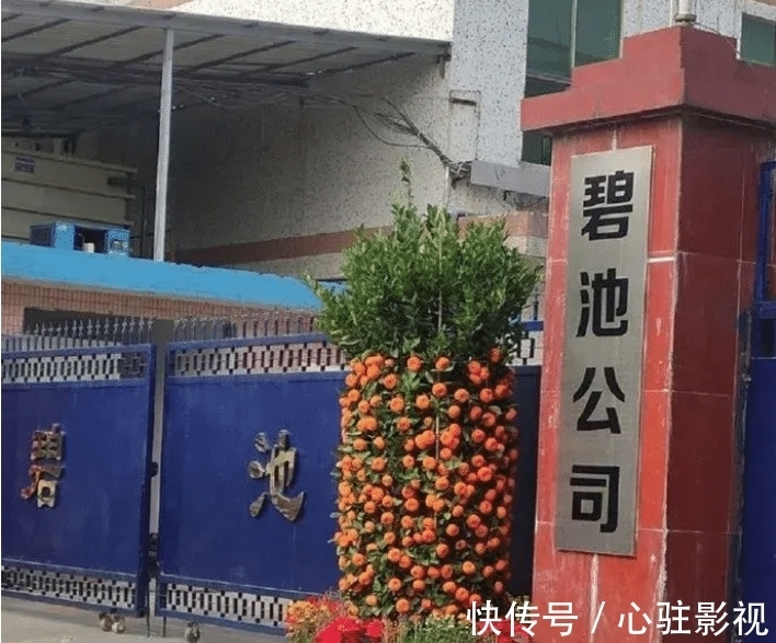 脑洞|“为什么瓷勺上面有个洞?这个洞有什么用啊?”哈哈哈哈网友们的脑洞太大了