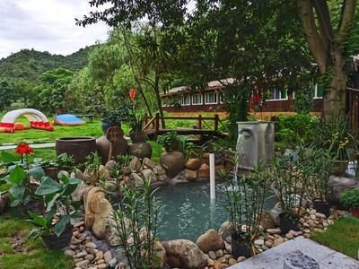 爱鱼发烧友的心声：没有鱼池过滤器真不行