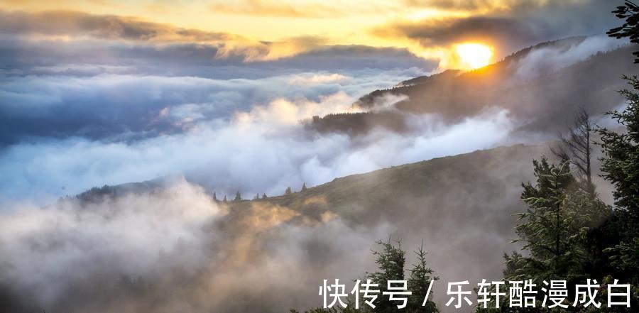 10月下旬，3生肖横财如雨下，事业一帆风顺，苦难熬完