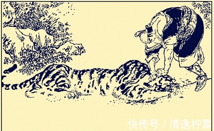 泰森@武松徒手打死老虎,现在科学家却证实不可能,老虎死得冤吗?