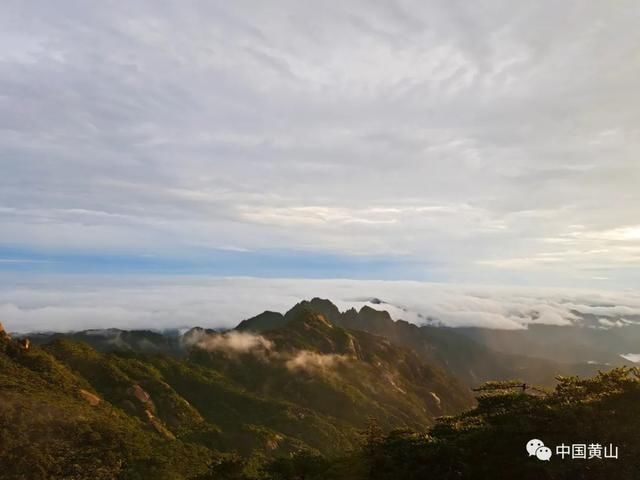 吴立新|云游雨后黄山 美景如画好似仙境