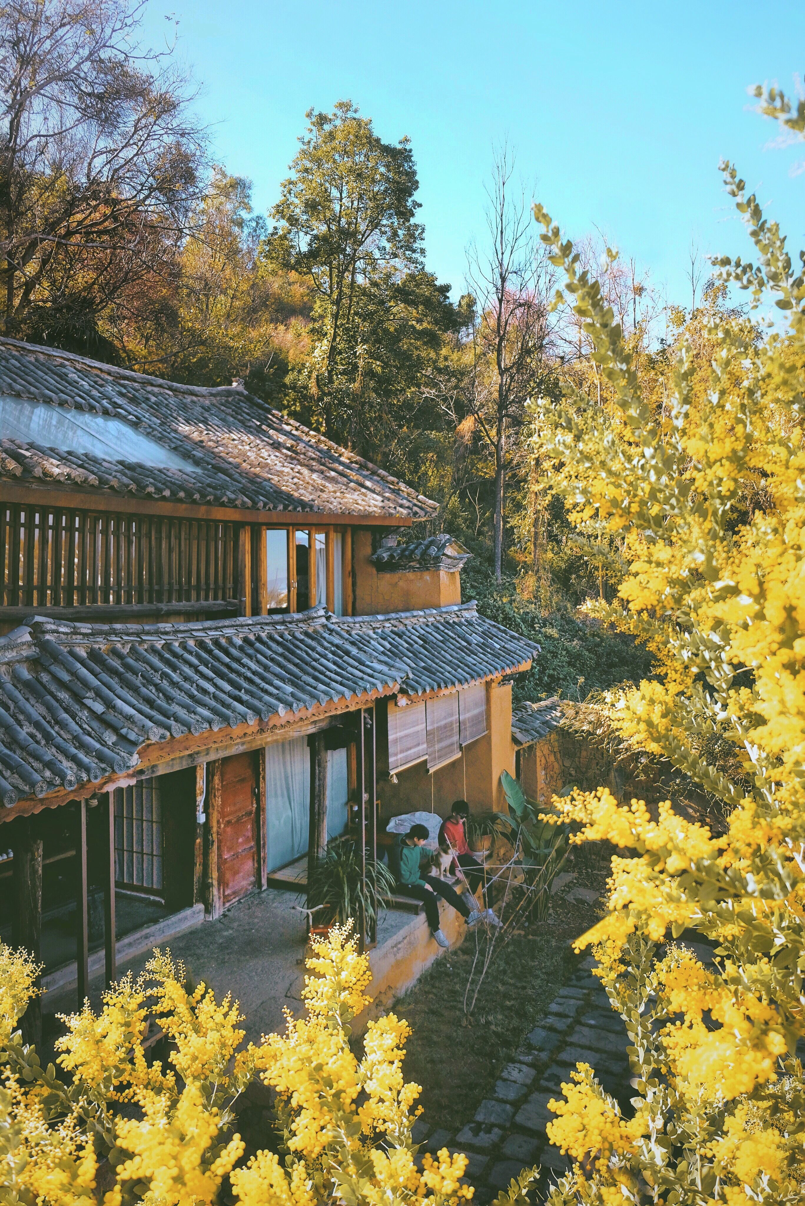 我带上你，你带上狗，成都出发，云南20日自驾之旅