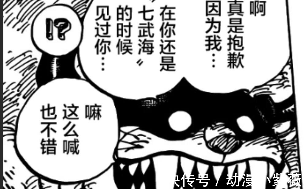 船员|海贼王998话：福兹弗是艾斯船员吗？甚平10个字给出证明