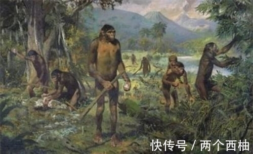 奇石|渔民捡到奇石,镶嵌2.5亿年前“芯片”,史前真的存在高等文明?