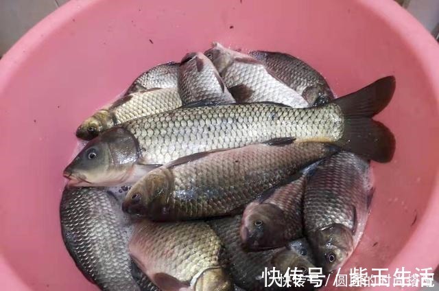 冬季野钓口轻不好抓三个解决方案，大幅提高中鱼率