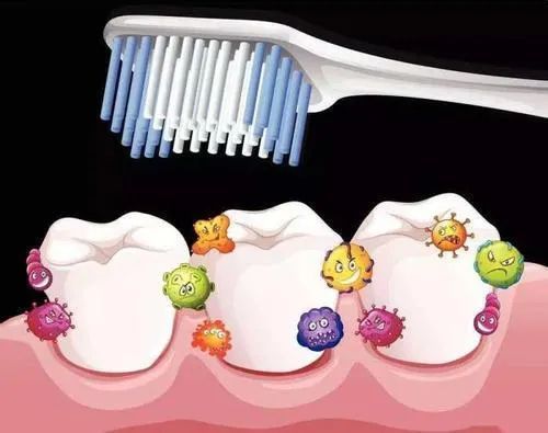 牙线|全国爱牙日丨牙线会撑大牙缝吗？