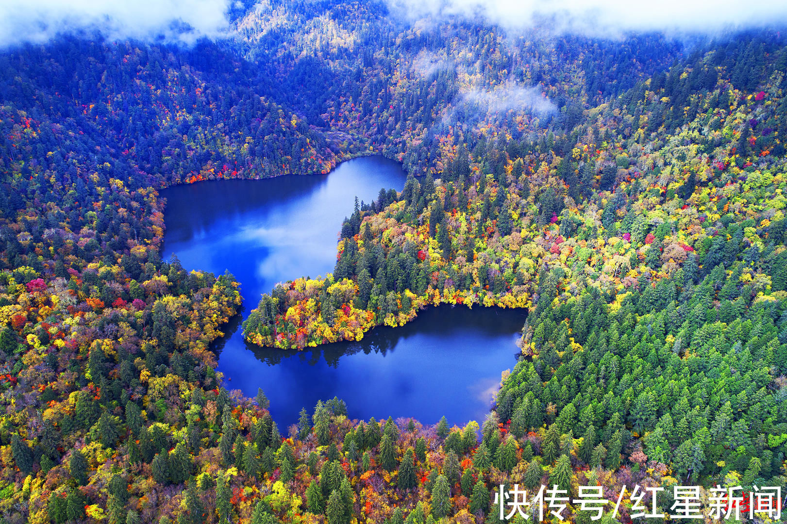 熊猫园|走进九寨新12景｜深山秘境甲勿海 大熊猫“民宿”住着4只可爱的滚滚