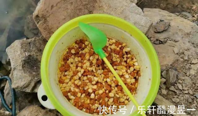 泄露|不止一次告诉你,夏天“征服”鲤鱼,唯独这钓法百用百灵,别泄露