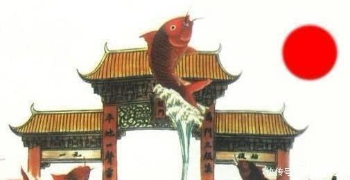 在我国神话里,鲤鱼化龙和蛇化成的龙,有什么区别?地位上差太多