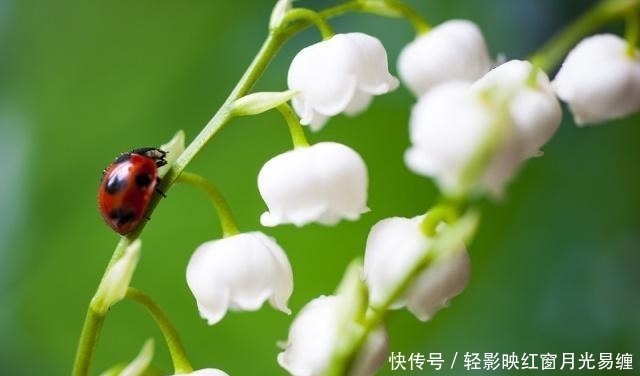 话说|做人,凡事要有度