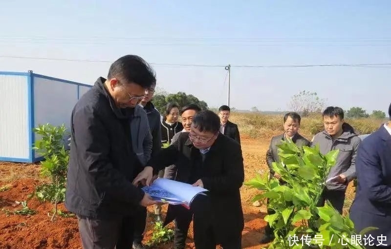 历史文化|谭伯乐调研文化古迹暨开展“1号大调研”工作