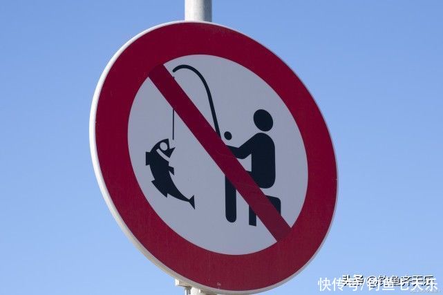 表态|长江“禁钓”多人被罚！休闲钓鱼该何去何从？管理部门表态了