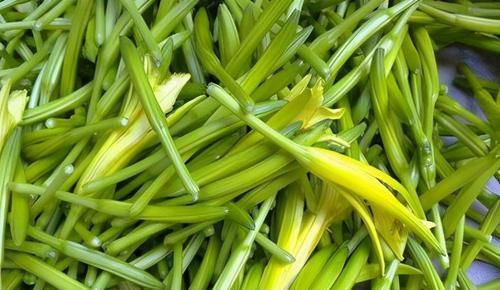 受益|女性吃的3种食物，排毒养颜、改善体质，早吃早受益！