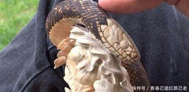 大爷|大爷公园雕刻逼真蛇手杖,路人看到后脸色大变