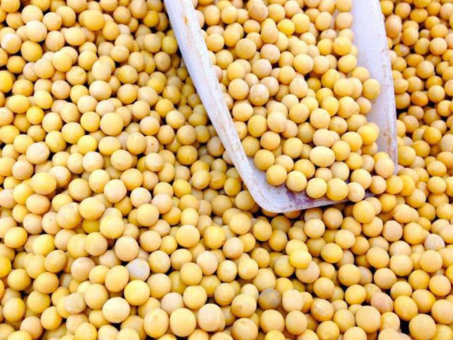 恶疾|癌细胞的“死对头”,每天坚持,避免癌细胞扩散远离恶疾