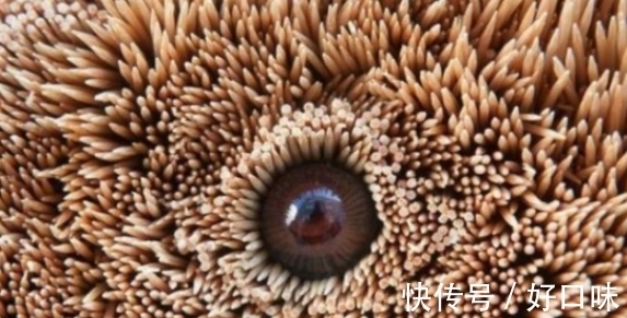 牙签$男子花费2千元买牙签,众人很不解,但三月后的成品让人称赞