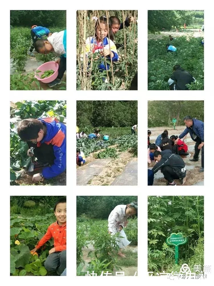 逐梦启航 绽放未来——静宁县原安镇中心小学特色文化建设报道